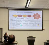 Ana's Chem Ed. Talk at CSC