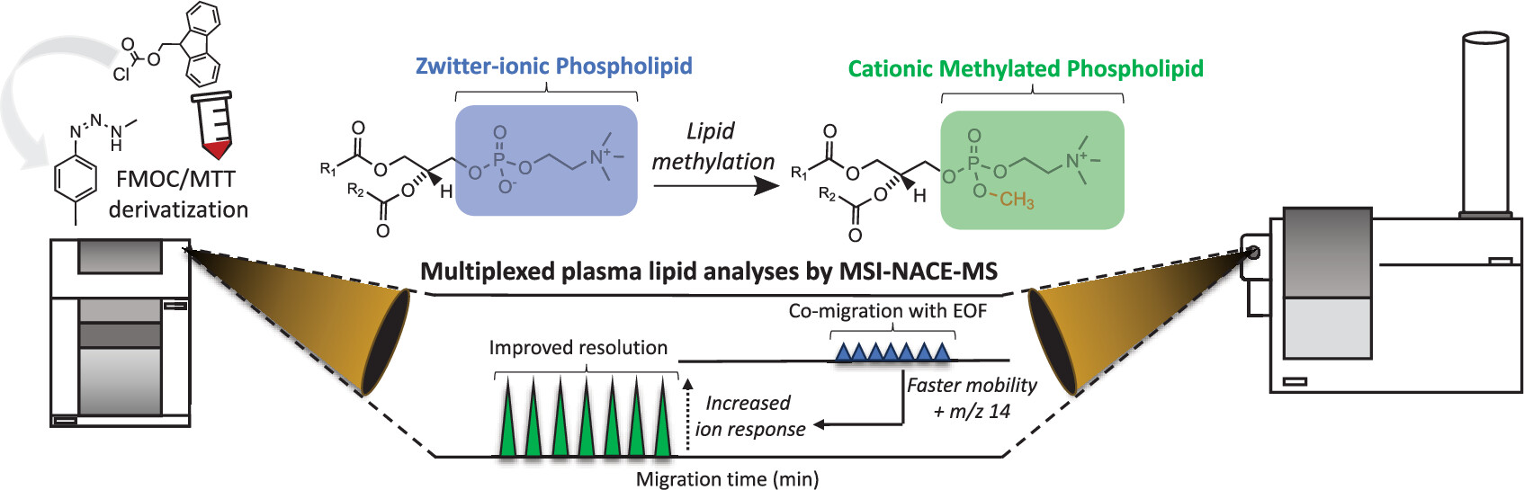 Expanding Lipidomic Coverage