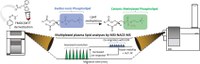 Expanding Lipidomic Coverage