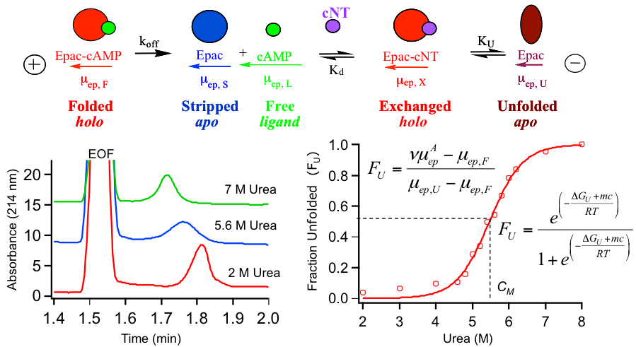 Figure 1-Biomolecular Interactions