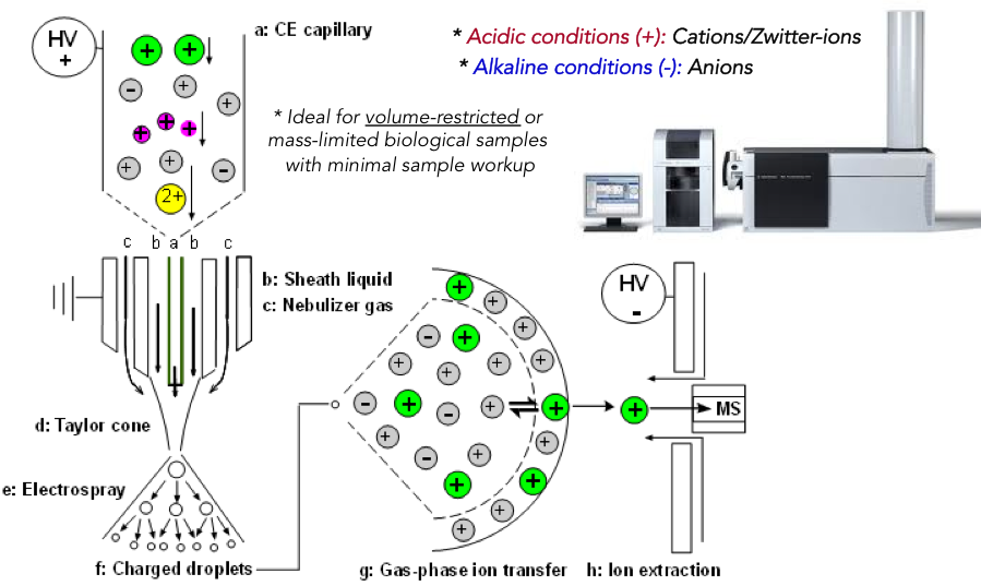 Figure 1-Separation and Ionization Theory