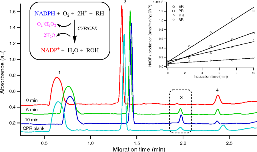 Figure 2-Biomolecular Interactions