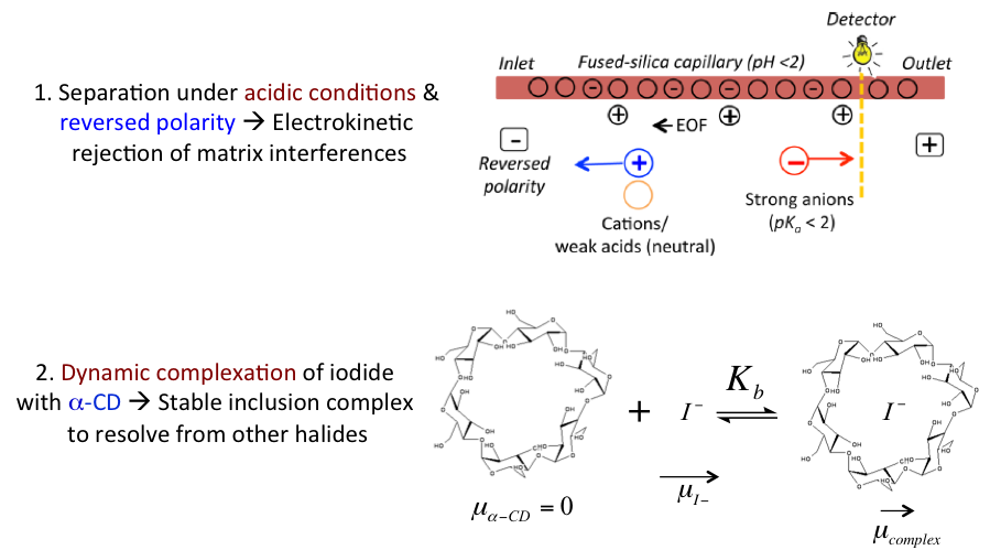 Figure 2-Separation and Ionization Theory