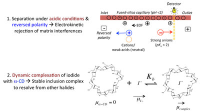 Figure 2-Separation and Ionization Theory — The Britz-McKibbin Laboratory