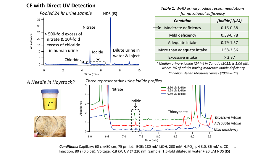 Figure 2-Targeted Metabolite Analysis